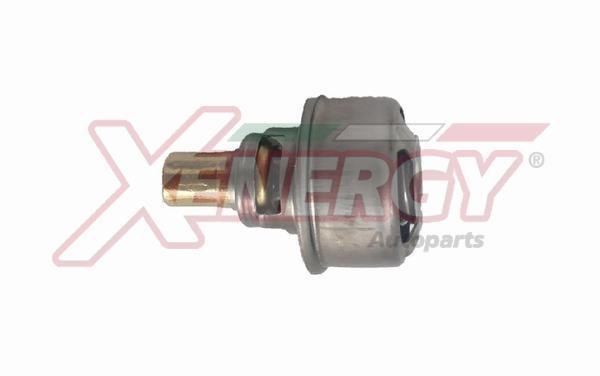Thermostat d'eau (Calorstat) XENERGY ref. XT4495.89