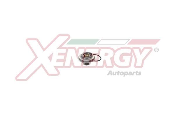 Thermostat d'eau XENERGY XT5111.88 au meilleur prix - Oscaro