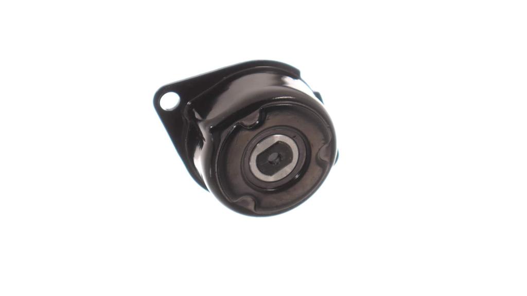 Polea tensora, correa auxiliar servicios SKF ref. VKM 31030