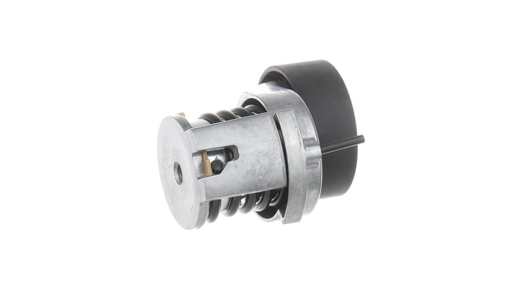 Galet tendeur de courroie d'accessoire SKF ref. VKM 31047