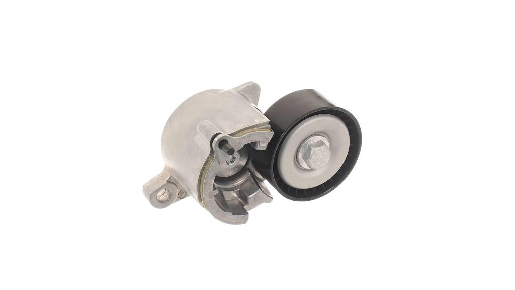 Rolo tensor da correia trapezoidal estriada SKF ref. VKM 33019