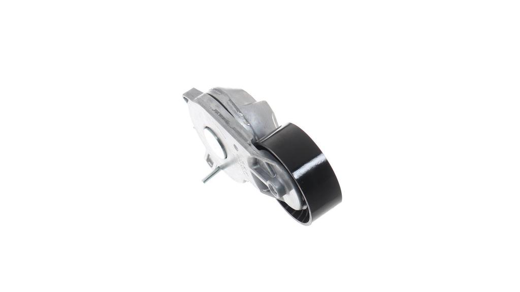 Galet tendeur de courroie d'accessoire SKF ref. VKM 33111