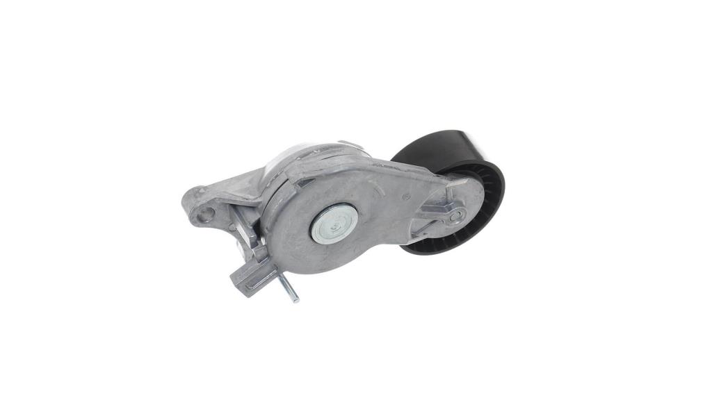 Galet tendeur de courroie d'accessoire SKF ref. VKM 33111