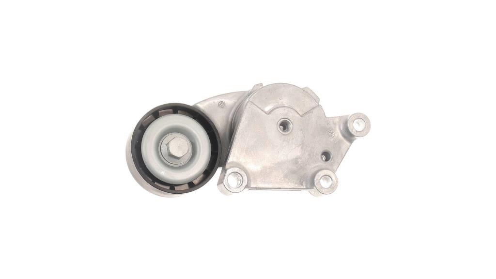 Galet tendeur de courroie d'accessoire SKF ref. VKM 33164