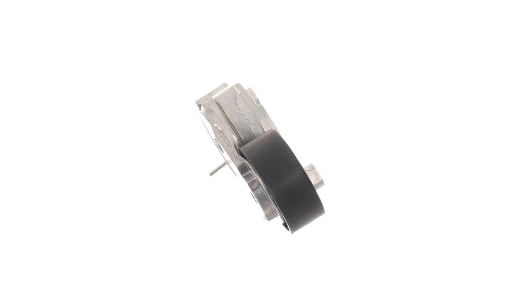 Galet tendeur de courroie d'accessoire SKF ref. VKM 33164