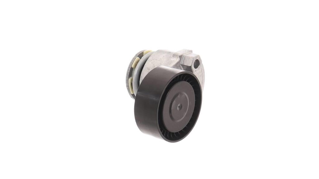 Galet tendeur de courroie d'accessoire SKF ref. VKM 36055