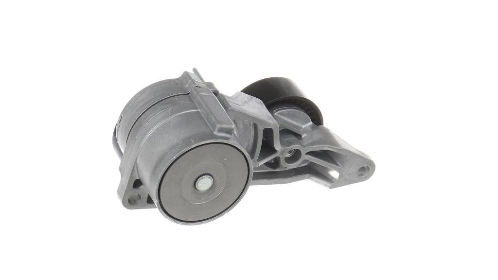 Polea tensora, correa auxiliar servicios SKF ref. VKM 36222