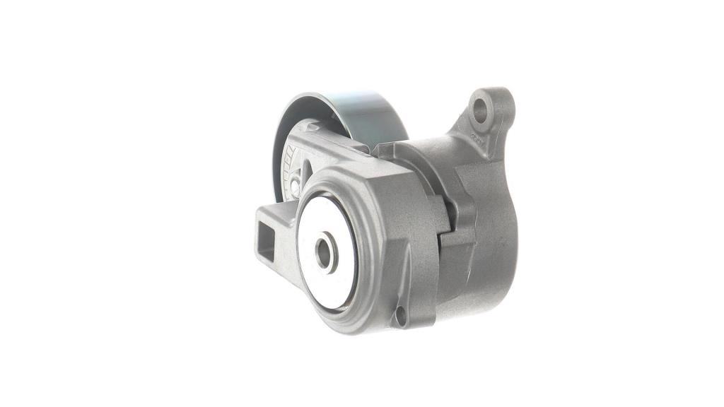 Galet tendeur de courroie d'accessoire SKF ref. VKM 65048