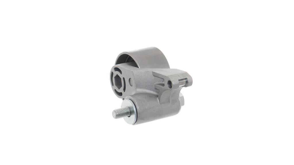 Rolo tensor da correia de distribuição SKF ref. VKM 79006