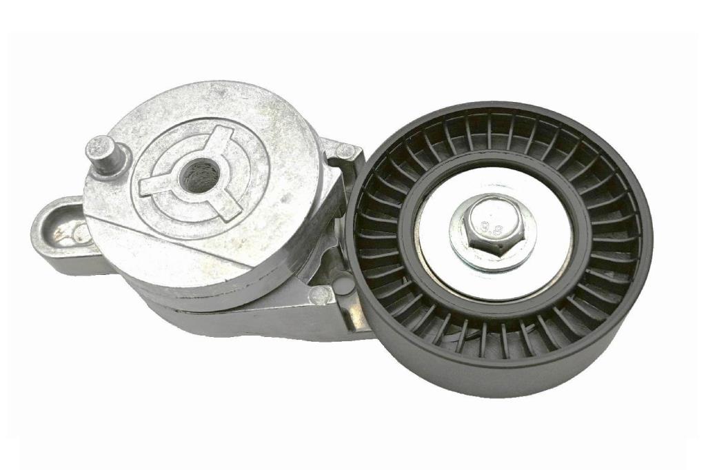 Kit de courroie d'accessoire (Courroie d’alternateur) SKF VKMA 61219
