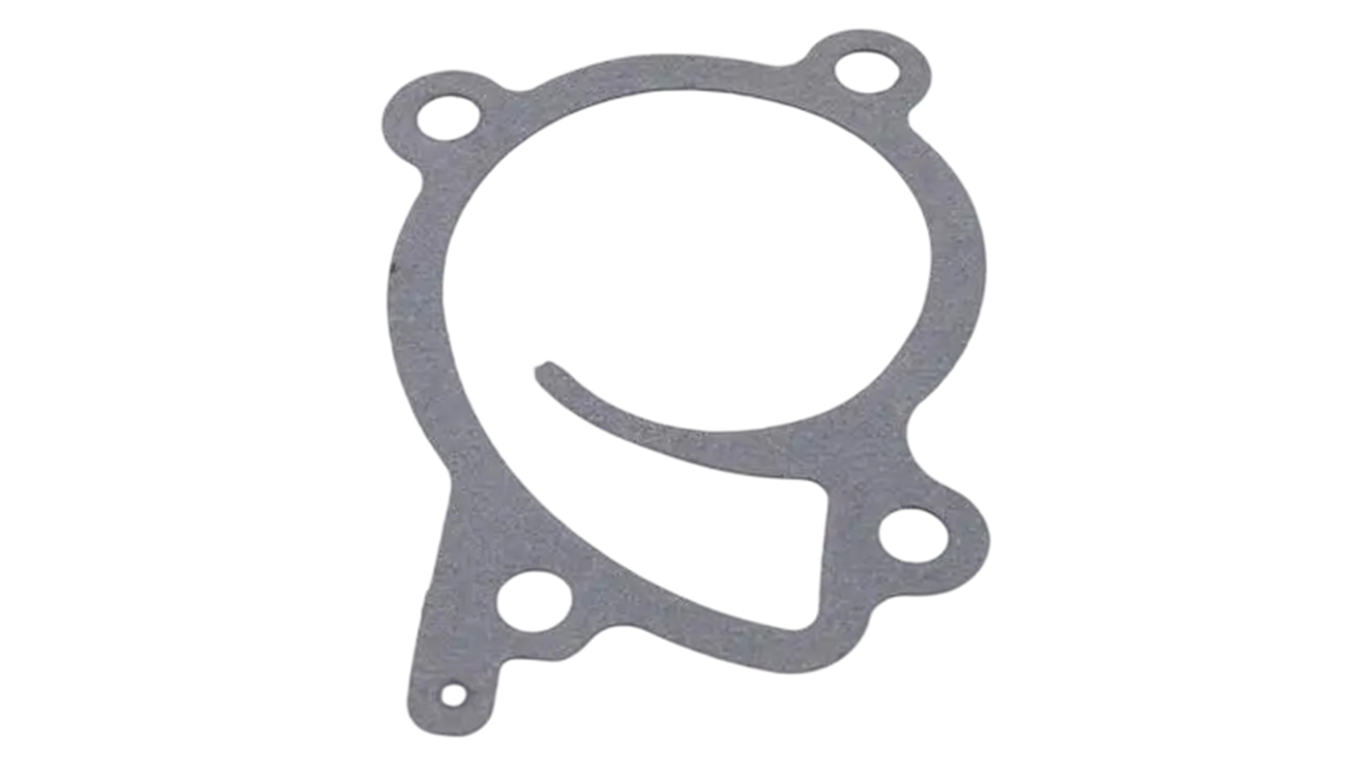 Pompe à eau SKF VKPC 86814