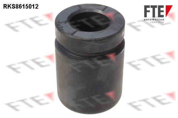 Piston, étrier de frein FTE automotive GmbH ref. 9313131