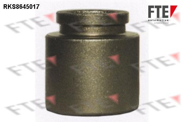 Piston, étrier de frein FTE automotive GmbH ref. 9313070