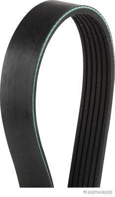 Correia trapezoidal estriada HERTH+BUSS JAKOPARTS ref. J1060850