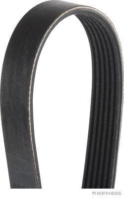 Correia trapezoidal estriada HERTH+BUSS JAKOPARTS ref. J1060883