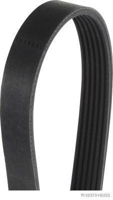 Correia trapezoidal estriada HERTH+BUSS JAKOPARTS ref. J1061405
