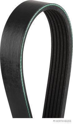 Correia trapezoidal estriada HERTH+BUSS JAKOPARTS ref. J1061590