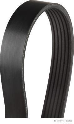 Correia trapezoidal estriada HERTH+BUSS JAKOPARTS ref. J1062334