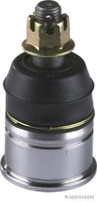 Butée hydraulique Coupé