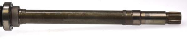 Cardan GKN SERVICE INTERNATIONAL GMBH 303242