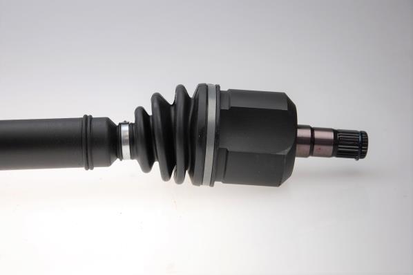Cardan GKN SERVICE INTERNATIONAL GMBH 304765