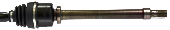 Cardan GKN SERVICE INTERNATIONAL GMBH 305316