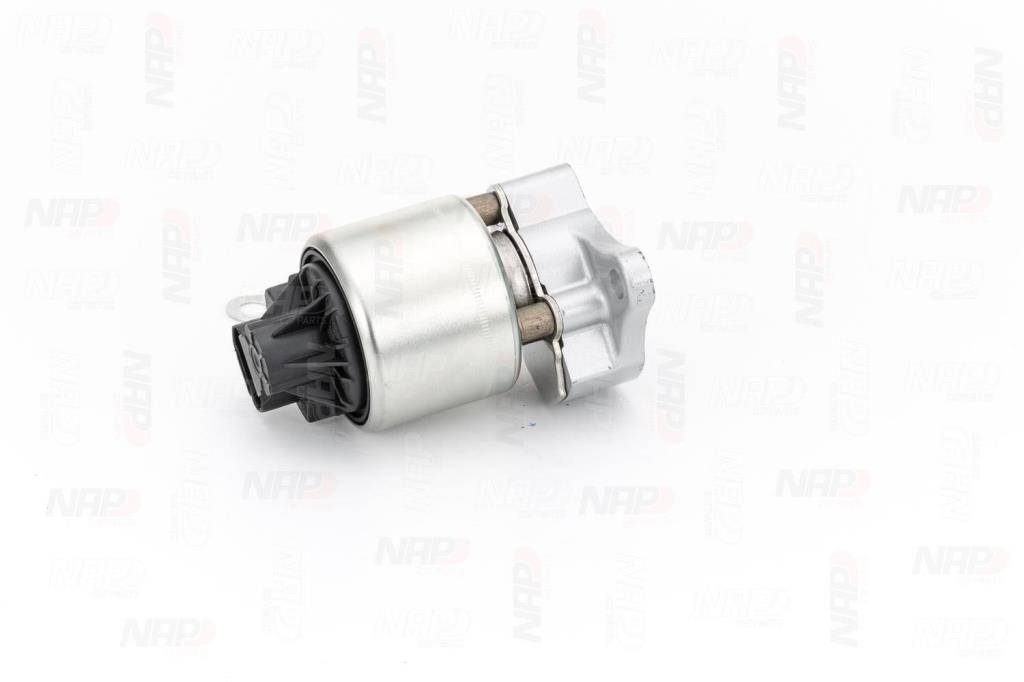 Vanne EGR NAP carPARTS ref. CAV10001