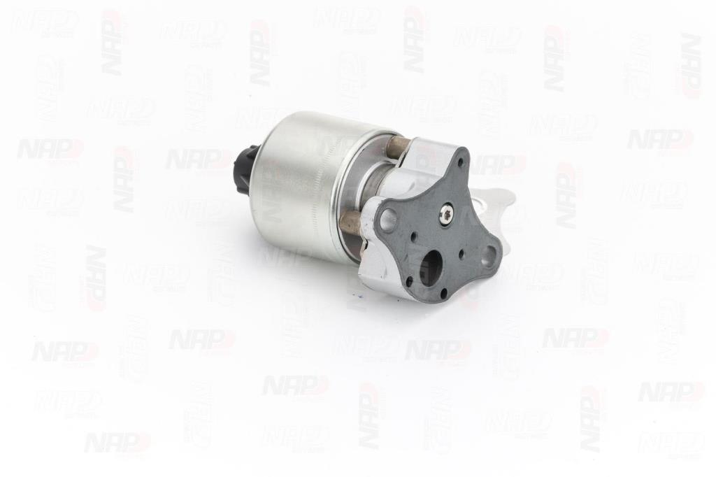 Vanne EGR NAP carPARTS ref. CAV10001