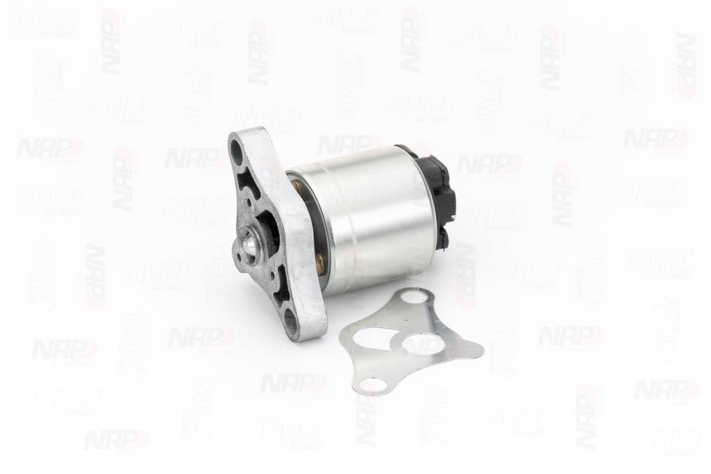 Válvula EGR NAP carPARTS ref. CAV10002