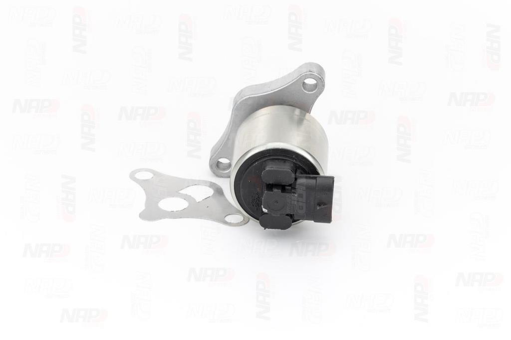 Válvula EGR NAP carPARTS ref. CAV10002