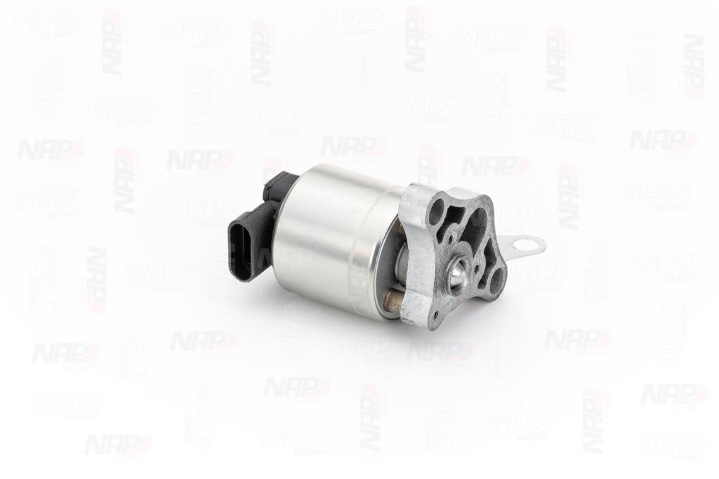 Válvula EGR NAP carPARTS ref. CAV10002