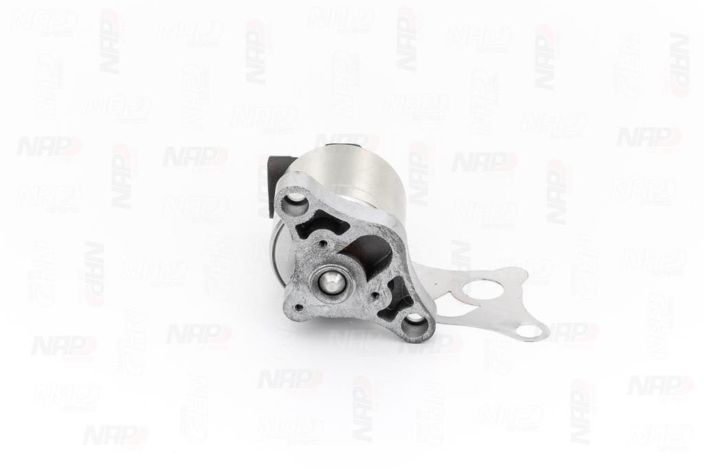 Válvula EGR NAP carPARTS ref. CAV10002