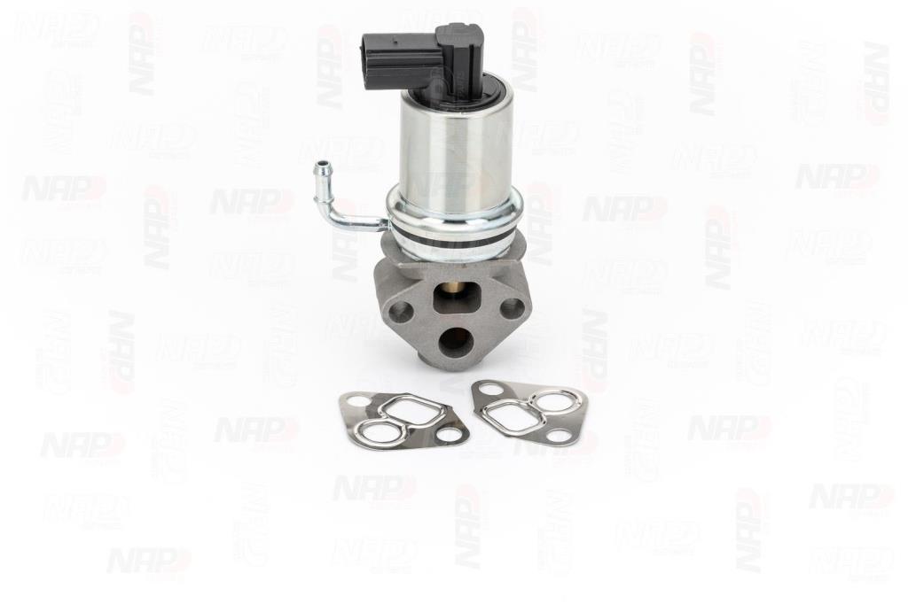 Válvula EGR NAP carPARTS ref. CAV10007