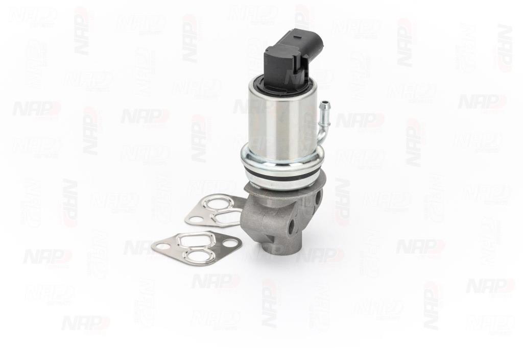 Válvula EGR NAP carPARTS ref. CAV10007