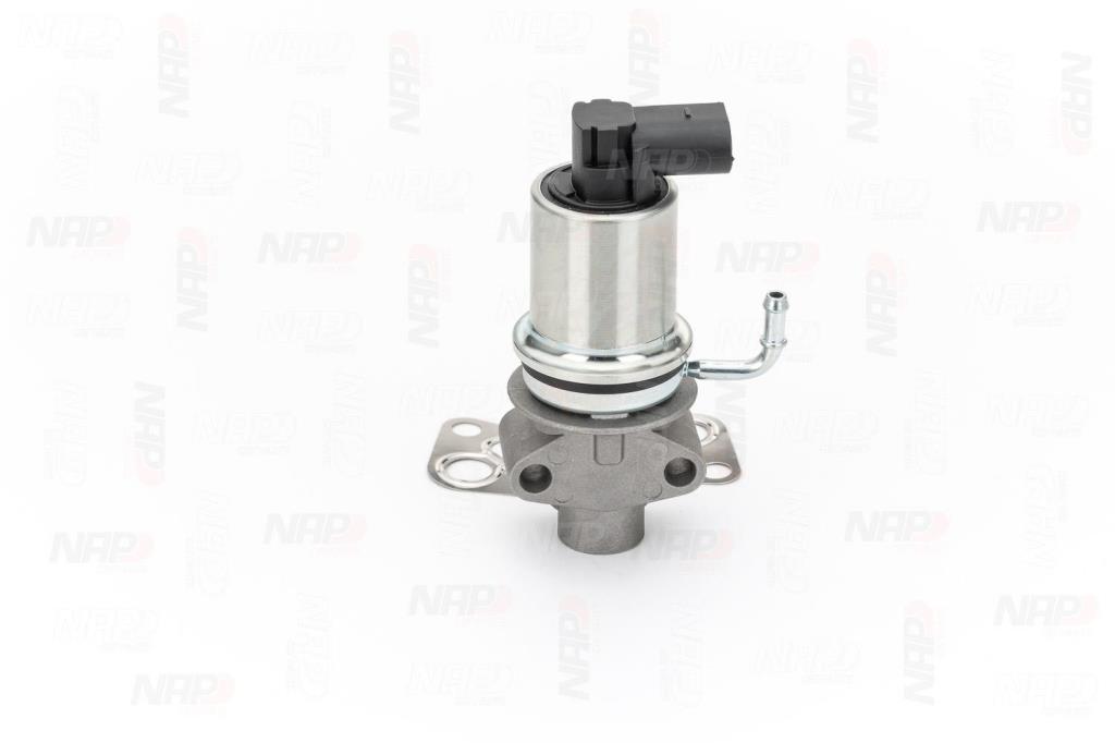 Válvula EGR NAP carPARTS ref. CAV10007