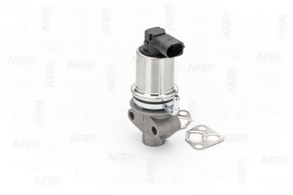 Válvula EGR NAP carPARTS ref. CAV10007