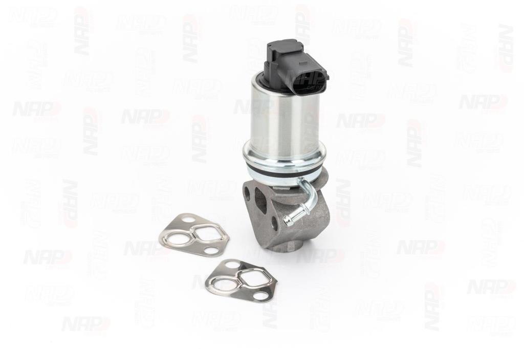 Válvula EGR NAP carPARTS ref. CAV10008
