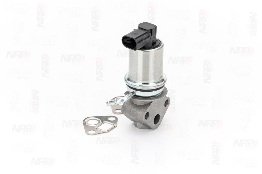 Válvula EGR NAP carPARTS ref. CAV10008