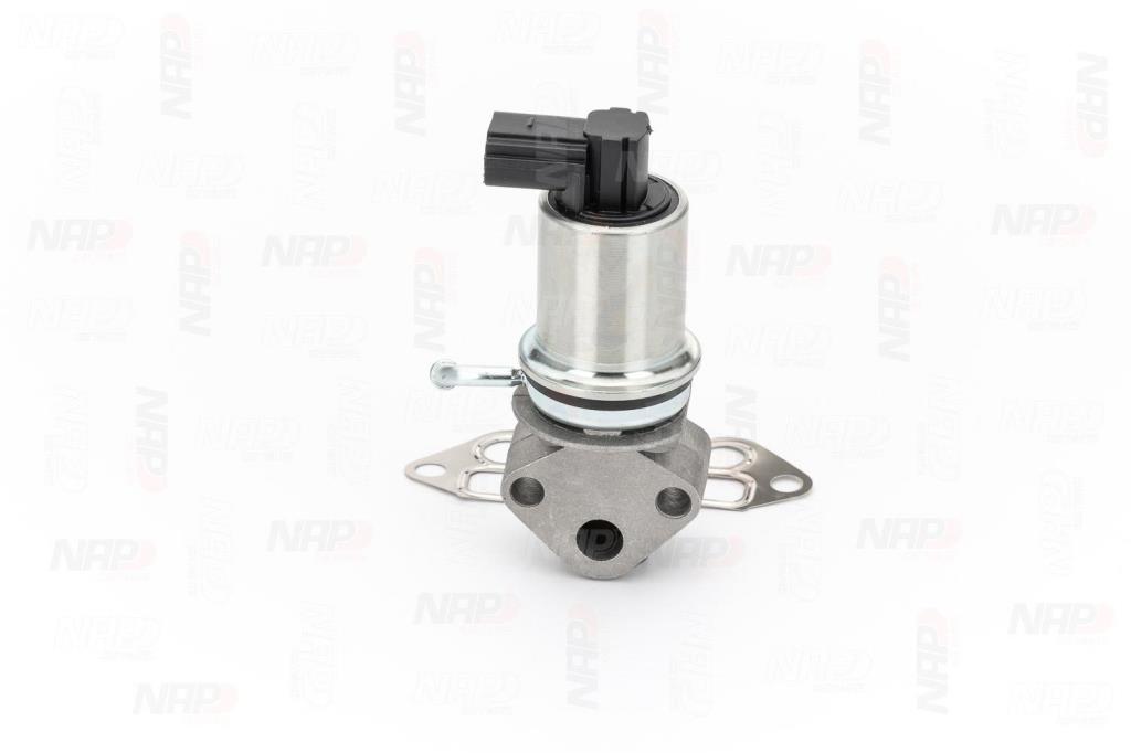 Válvula EGR NAP carPARTS ref. CAV10008