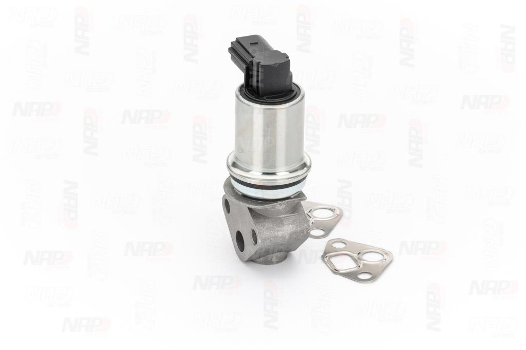 Válvula EGR NAP carPARTS ref. CAV10008