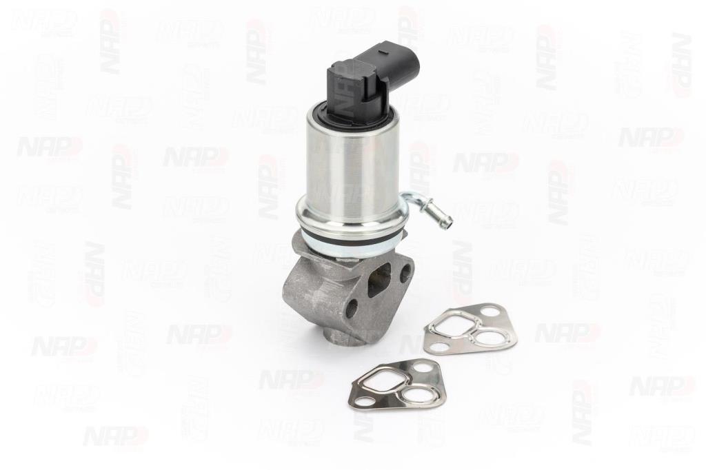 Válvula EGR NAP carPARTS ref. CAV10008