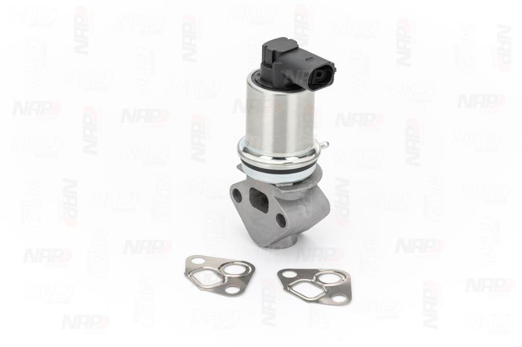 Válvula EGR NAP carPARTS ref. CAV10009