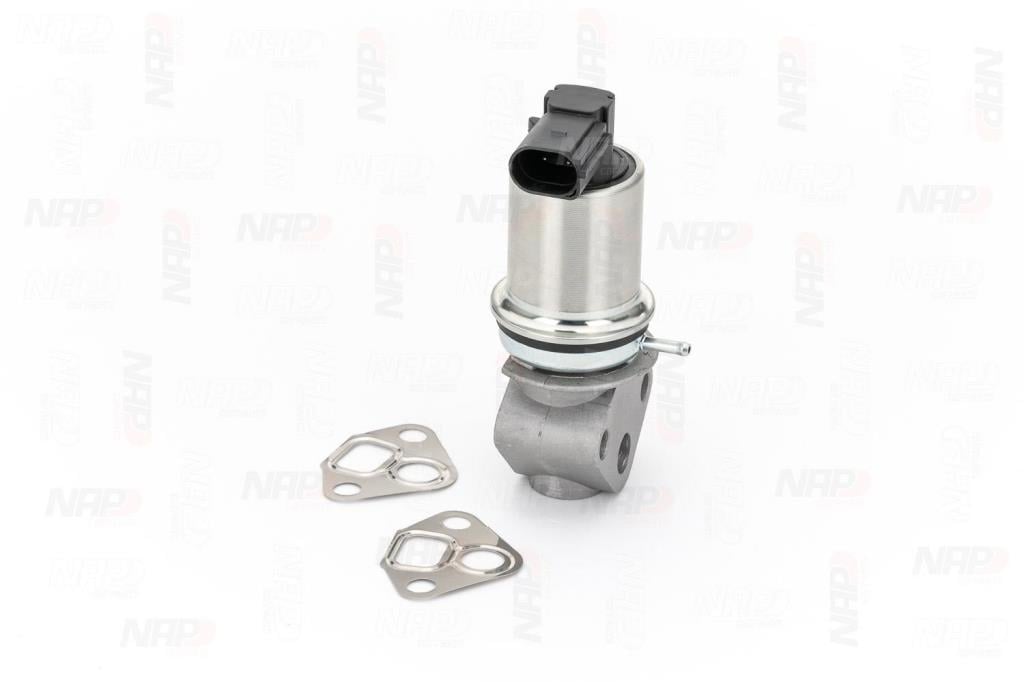 Válvula EGR NAP carPARTS ref. CAV10009