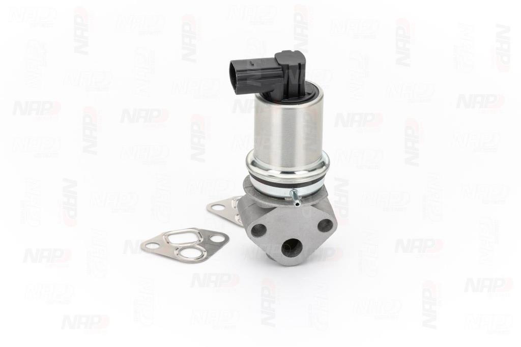 Válvula EGR NAP carPARTS ref. CAV10009