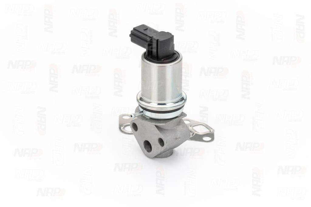 Válvula EGR NAP carPARTS ref. CAV10009