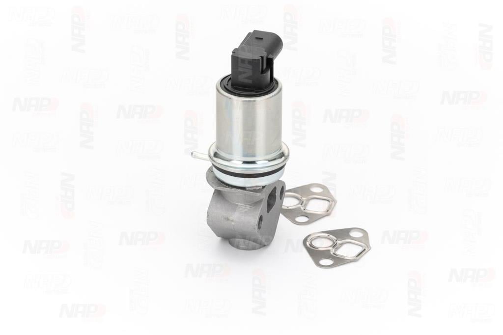 Válvula EGR NAP carPARTS ref. CAV10009