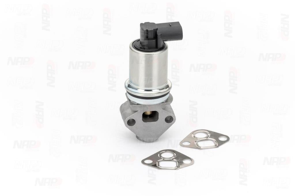 Válvula EGR NAP carPARTS ref. CAV10009