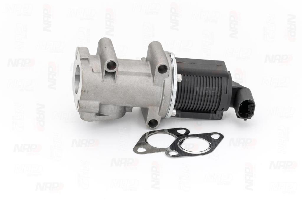 Válvula EGR NAP carPARTS ref. CAV10017