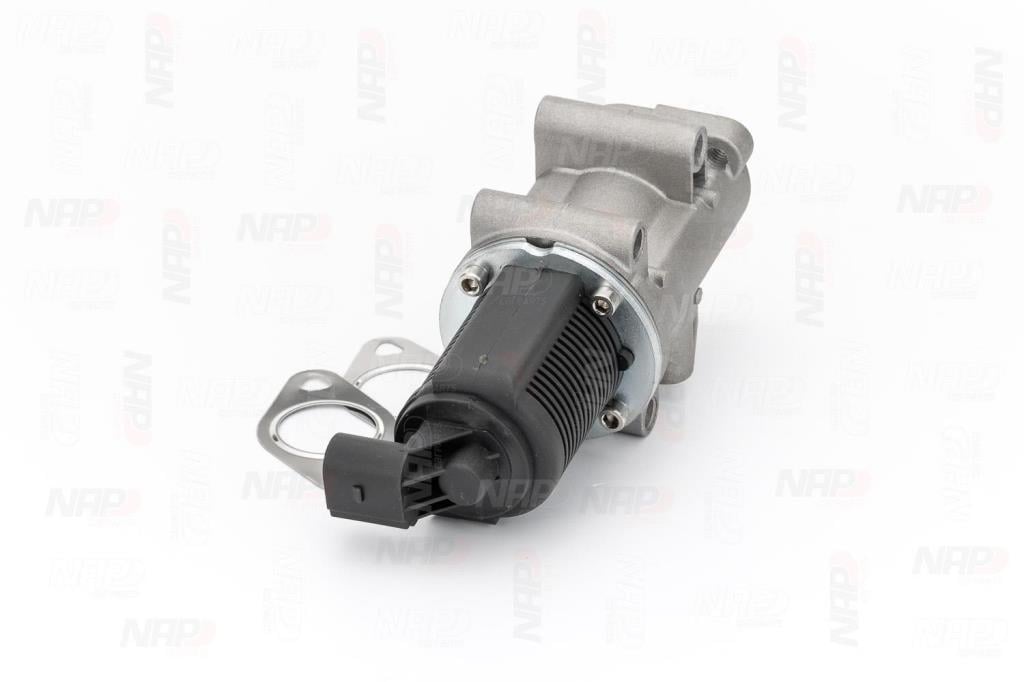 Válvula EGR NAP carPARTS ref. CAV10017
