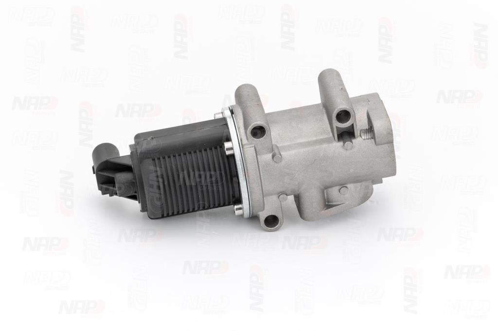 Válvula EGR NAP carPARTS ref. CAV10017